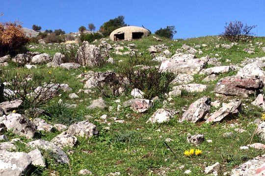 Tour image 7